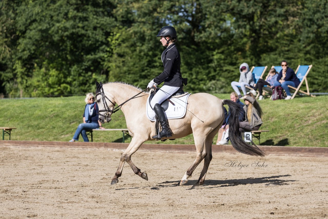 Bild 546 - Pony Akademie Turnier